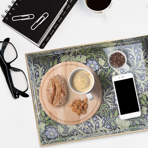 Spsyrine Serving Tray with Handles, Plastic Decorative Tray for Coffee Table, Living Room, Home Decor, Seaweed - color: Multi H