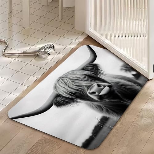 Highland Cow Bathroom Rugs, Non Slip Quick Dry Rustic Farmhouse Bath Mats for Bathroom, Super Absorbent Diatomaceous Bathmat for Home Kitchen Thin Floor Doormat 17 X 29.5 Inch - color: Highland Cow