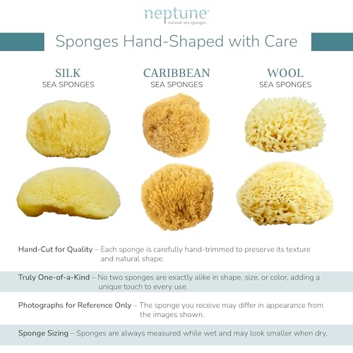 Neptune Caribbean Sea Sponge for Face & Body, Small Approx. 4-5 Inches, Ultra-Soft Bath Sponge, Eco-Friendly & Biodegradable