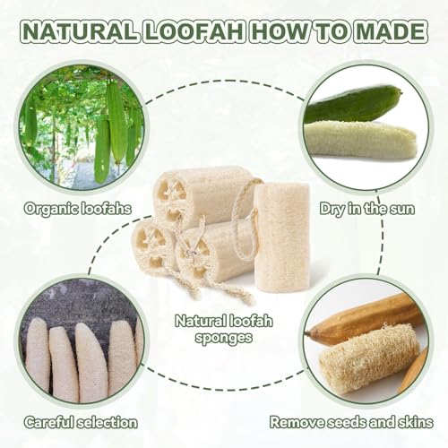 Natural Loofah Sponge Exfoliating Body Scrubbe34212424r Men Women,Reusable Bath Sponge for Shower Face, Back & Body,Eco-Friendly Bath Loofah for Deep Cleansing &Smooth Skin 4Pcs