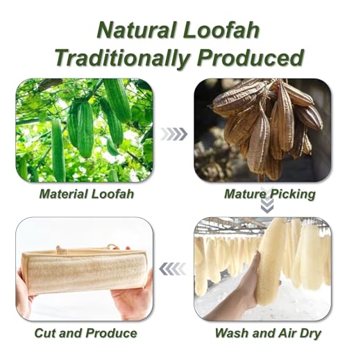 Natural Loofah Sponge, Exfoliating Body Scrubber for Men Women, Loofah with Handle, Exfoliating Back Scrubber for Shower Set, Deeply Clean & Invigorate Your Skin (2 pcs in Box) - style: 2 Count Natural Loofah in 1 Style