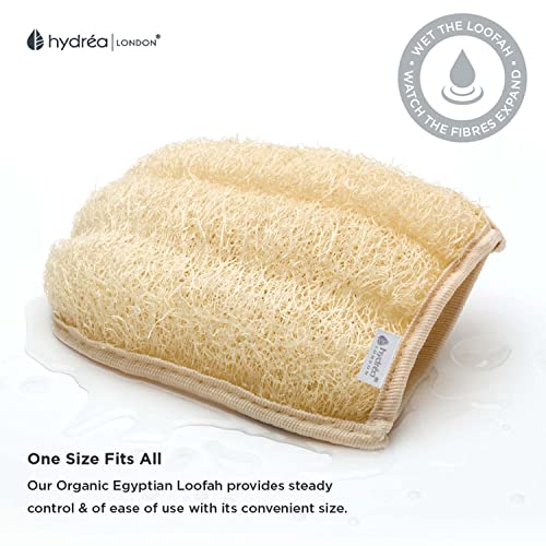 Hydrea London Exfoliating Glove - Organic Egyptian Shower Loofah & Dual-Sided Face Glove Exfoliator - Body Scrubber for Men & Women, Dead Skin Cell Remover, & Bath Scrub for Deep Exfoliation & Detox