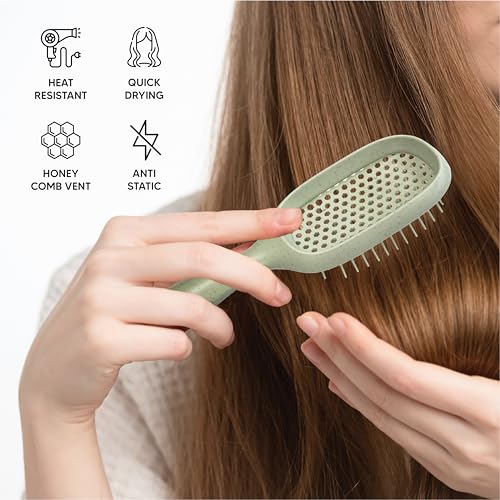 TADA Natural Beauty Hair Brush Detangler for Curly, Thick, Wavy, and Thin Hair - Ventilation Holes for Quick Drying and Styling, Detangler Brush for Women, Men, Kids (4 Colors) (Green) - color: Green