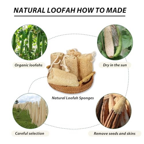 Natural Loofah Sponge Organic Loofa Set 6 Pack,Exfoliating Body Scrubber Shower Luffa Men and Women for Bath Cleaning Skin Back and Face Eco Tool - color: 6-pack