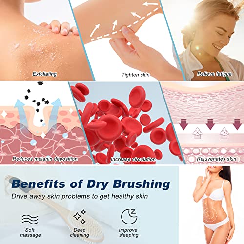 Long Handle Ergonomically Back Scrubber/Brush for Shower, Double Sided Exfoliating Body Scrubber for Women and Men (Black) - color: Black