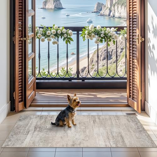 Washable Entryway 2x5 Runner Rug: Easy-Clean Kitchen Bedroom Carpets Non Slip Non-Curl Edge Rugs for Hallway Laundry Indoor Soft Modern Abstract Home Decor Floor Mat for Bathroom 2x5 Beige - color: Beige, size: 2' x 5' (Runner)
