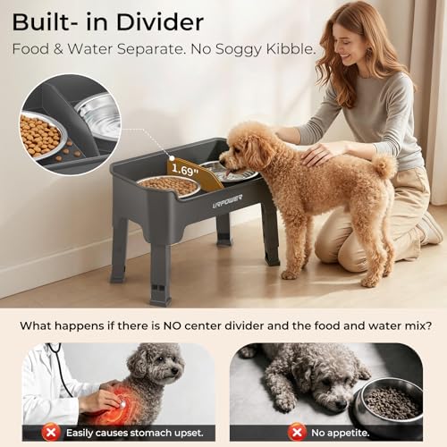 URPOWER Mess Proof Elevated Dog Bowls 4 Height Adjustable Raised Bowl Stand with 2 Stainless Steel Dog Bowls Non-Slip Food and Water Bowl Set for Small Dogs, Grey - color: Grey, size: Small
