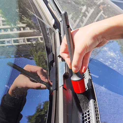 Car Detailing Brush Set of 5 - Boar Bristle, Car Cleaning Brush, Wheel Cleaner Brush, Car Dust Brush, Car Interior Leather Seat and Vent Brush, Parts Cleaner Brush