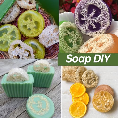 Natural Loofah Sponge for Soap Making, 20 Pack Organic Loofahs Slices Cuts Set, Loofa Exfoliating Body Scrubber, Shower Sponge Luffas for Women and Men - size: 1 Count (Pack of 20)