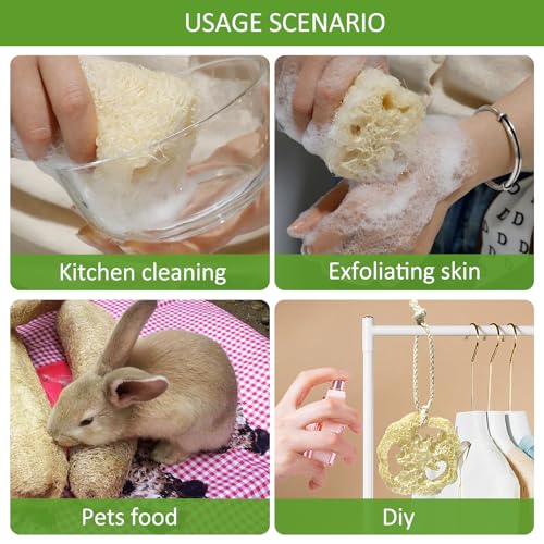 Natural Loofah Sponge, Organic Bath Loofah Pack, Lufas Exfoliating Body Scrubber, Loofas Sponges Shower Loofah for Women and Men, Skin SPA Ecotools- 6 Pack - size: 1 Count (Pack of 6)