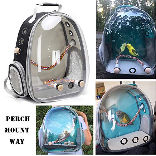 Bird Traval Carrier Cage, Clear Space Capsule Astronaut Backpack to Carry Parakeet Cockatiel Parrot with Metal Tray Bird Feeder Wood Perch, Vet Transport School Bag - color: Green