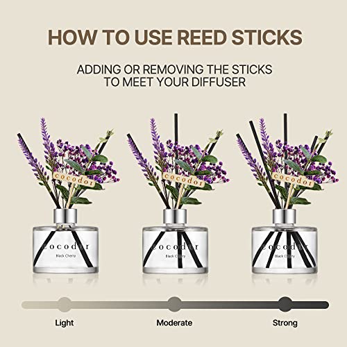 COCODOR Lavender Reed Diffuser/Garden Lavender / 6.7oz(200ml) / 1 Pack/Home Decor & Office Decor, Fragrance and Gifts - size: Lavender/6.7Ounce/1 Pack