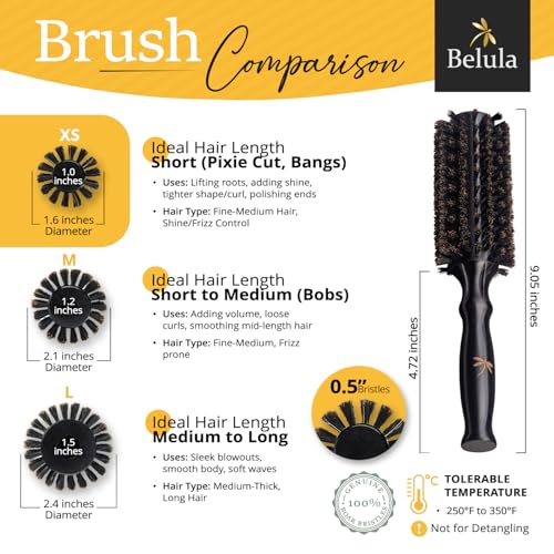 Belula 100% Soft Boar Bristle Round Brush for Blow Drying Set. Round Hair Brush With Small 1.6” Wooden Barrel. Hairbrush Ideal to Add Volume and Body. Free 3 x Hair Clips & Travel Bag. - color: Small Barrel 1.6"