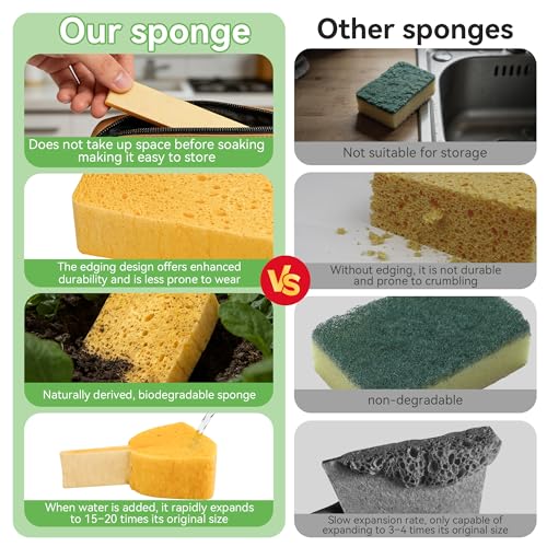 LILAC 6 Pcs Deep Cleaning Set: 2 Pack Stiff-Bristle Crevice Cleaning Brushes & 4 Pack Compressed Natural Cellulose Sponges, Gap Cleaner Scrubber Tool for Window Tracks, Tile, Kitchen, Bathroom