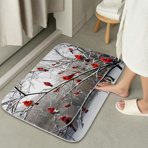 Sea Turtles Nautical Blue Ocean Beach Animals Bath Rugs Non Slip Shower Mat Bathroom Decor Door Rug (20x31 inches, Cardinal Birds) - color: Multi Color 2, size: 2'7" x 1'8" (Rectangular)