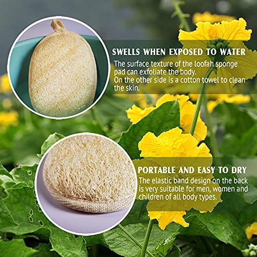 YIQINGJIE Natural Loofah Sponge Exfoliating Body Scrubber(4 Packs),Made with Eco-Friendly and Biodegradable Soft Shower Luffa Sponge, Loofah for Women and Men, Brown - style: Bag