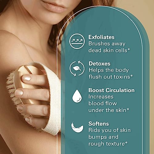 Firm Dry Brush & Shower Brush for Body - Handheld Back Scrubber Body Brush Exfoliator & Dead Skin Remover for Body Firm & Tighten Skin Improve Circulation for Men & Women by M3 - size: Firm Dry Brush