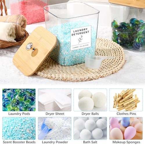 Reallnaive 5 Pcs Laundry Pods Container and Dryer Sheet Holder, 3L Laundry Room Organization Storage Containers with Lids and Labels for Detergent Powder Organizer, Scent Booster, Powder