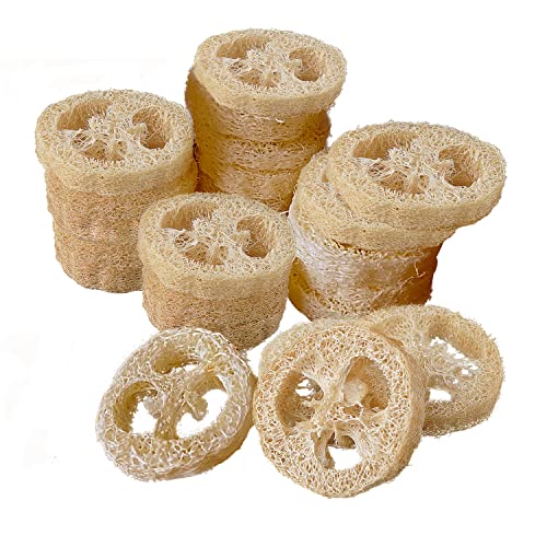 Natural Loofah Sponge for Soap Making, 20 Pack Organic Loofahs Slices Cuts Set, Loofa Exfoliating Body Scrubber, Shower Sponge Luffas for Women and Men - size: 1 Count (Pack of 20)