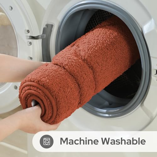 HOMEIDEAS Bathroom Rugs Sets 2 Piece, Extra Soft and Absorbent Microfiber Plush Bath Mat with Non Slip Backing(Burnt Orange) - color: Burnt Orange