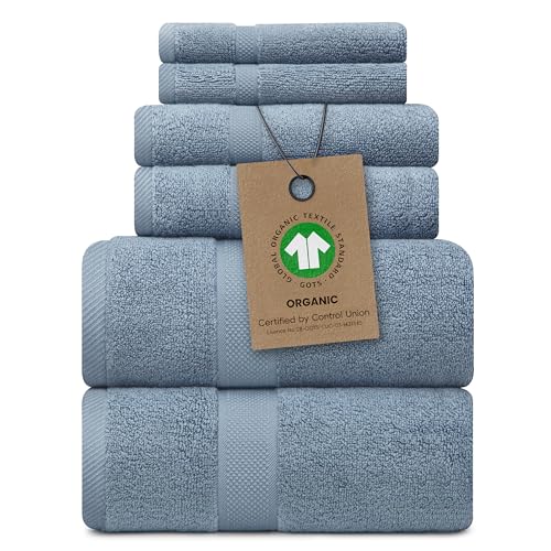 Alusa Home 100% Organic Zero-Twist Cotton Towels - GOTS Certified Luxury Bath Towels - Ultra Soft & Plush 700GSM Long-Staple Cotton - 6 Piece Towel Set (Chambray) - color: Chambray, size: 6pc Towel Set