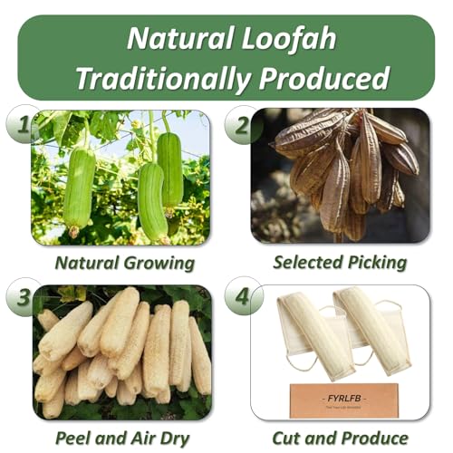 Natural Loofah Exfoliating Body Scrubber for Men and Women, Loofah with Handle, Exfoliating Back Scrubber for Shower Set, Luffa Sponge to Clean & Relax Your Body Deeply (2 Pack) - style: Pack of 2