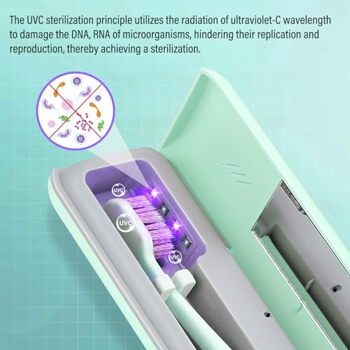 YourMate UVC Toothbrush Sanitizer Case Travel Toothbrush Covers Case for Traving or Business Trip Power by AA Battery or USB-C Cord Green - color: Green