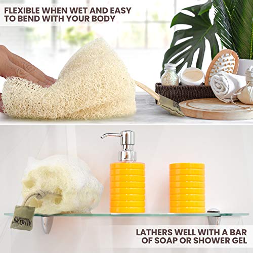 Almooni Egyptian Loofah Exfoliating Body Scrubber, Natural Real Egyptian Shower Loofah Sponge Body Scrubber for Women and Men, for Body and Face that Will Get You Clean - 3 Count (1 Pack) - size: 3 Count (Pack of 1)