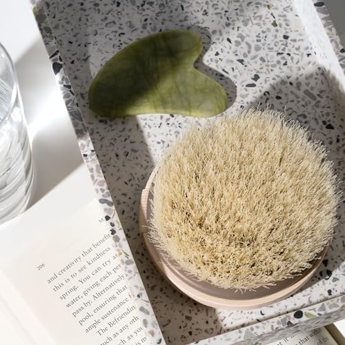 EcoTools Dry Body Brush, for Post Shower & Bath Skincare Routine, Removes Dirt and Promotes Blood Circulation, 1 Count - size: Pack of 1