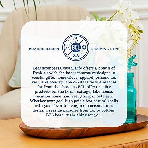 Beachcombers Ceramic Shark Holder For Scrubber Sponge Soap Coastal Beach Decor Decoration 4.5" x 4" x 4.5 Blue
