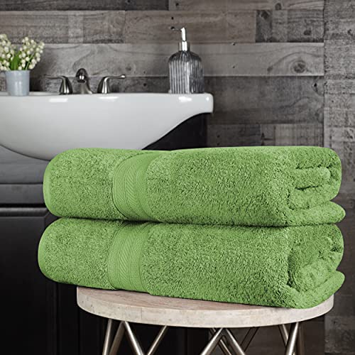 Superior Long Staple 100% Combed Cotton 700GSM 2-Piece Solid Bath Sheet Set for Bathroom, Shower, Kitchen-Super Soft, Plush, Highly Absorbent, Assorted 2-Piece Bath Seets, Green Essence - color: Green Essence, size: 2-Piece Bath Sheet Set