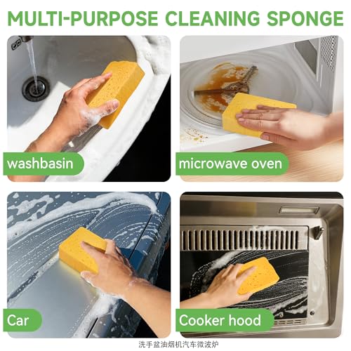 LILAC 6 Pcs Deep Cleaning Set: 2 Pack Stiff-Bristle Crevice Cleaning Brushes & 4 Pack Compressed Natural Cellulose Sponges, Gap Cleaner Scrubber Tool for Window Tracks, Tile, Kitchen, Bathroom