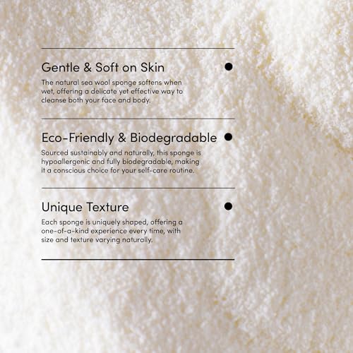 LATHER - Natural Sea Wool Sponge, 4-5" - Organic Exfoliating Body Scrubber - Soft, Gentle Cleansing - Hypoallergenic - All Skin Types - Florida Natural Loofah Sponge - Cruelty Free - Beauty & Skincare - style: Small