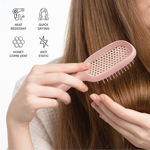 TADA Natural Beauty Hair Brush Detangler for Curly, Thick, Wavy, and Thin Hair - Ventilation Holes for Quick Drying and Styling, Detangler Brush for Women, Men, Kids (4 Colors) (2PK #1) - color: 2PK #1