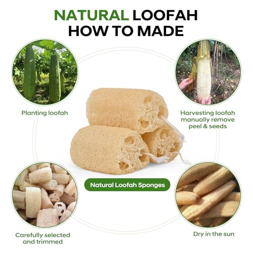 Natural Loofah Sponge 4 Pack, Organic Luffa Sponges Body Scrubber, Exfoliating Loofah Scrubber for Shower, Eco-Friendly Biodegradable Bath Loofahs for Men & Women - size: 1 Count (Pack of 4)
