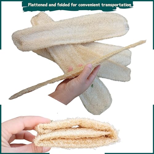 10 Pcs (5 – 7 Inches) Shower Loofah Exfoliating Body Scrubber | Natural Loofah Sponge | Bath for Loofah for Men and Women | Pack of 10 - size: 1 Count (Pack of 10)
