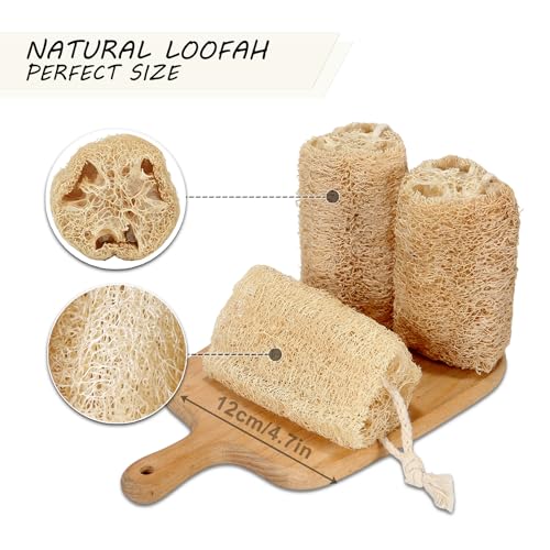 Natural Loofah Sponge Organic Loofa Set 6 Pack,Exfoliating Body Scrubber Shower Luffa Men and Women for Bath Cleaning Skin Back and Face Eco Tool - color: 6-pack