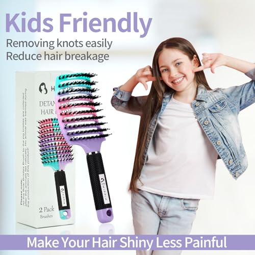 Boar Bristle Hair Brush Set of 2, HIPPIH Wet & Dry Hair Brushes Made by Fine Natural Boar Hair Can Adds Shine and Smoothing, Detangling Hairbrush for Women, Men & Kids' Long Curly Thick Hair - color: Mint Purple & Green
