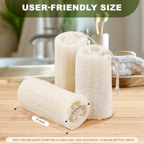 Natural Loofah Body Scrubber Sponge, Set of 3 Organic 5 Inch Luffa for Exfoliating & Smooth Skin Cleansing, Ideal for Men & Women, Spa & Shower Use - size: 1 Count (Pack of 3)