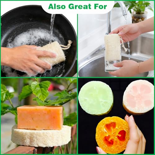 pisdoplop Natural Loofah Exfoliating Body Sponge Scrubber, 4 inch-Long Organic Loofa Luffa Plant-Based for Men & Women Skin Care Bath Shower Cleaning, Natural Sponges for Dishes - style: Natural Loofah