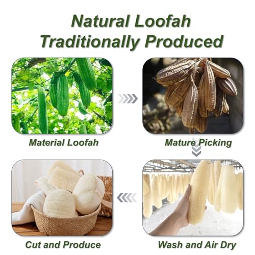 Natural Loofah Sponge, Exfoliating Body Scrubber for Men Women, Loofah with Handle, Exfoliating Back Scrubber for Shower Set, Deeply Clean & Invigorate Your Skin (5 pcs in Box) - style: 5 Count Natural Loofah in 4 Styles