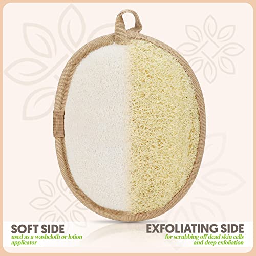 Almooni Natural Loofah Exfoliating Body Scrubber, Made with Natural Egyptian Shower Loofah Sponge, Bath Shower Loofah Sponge for Women and Men, for Face and Body That Gets You Clean - 2 Count (1 Pack) - style: Egyptian Shower Loofah Sponge