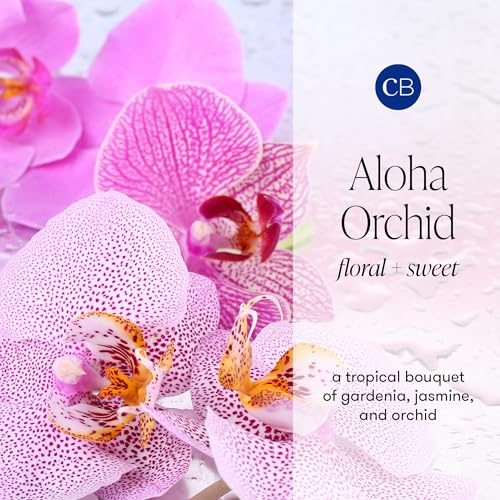 Capri Blue Modern Marble Reed Diffuser Set - Includes Reed Diffuser Sticks, Scented Oil & Glass Bottle - Luxury Scents for Bedroom Decor & Bathroom Air Freshener - Aloha Orchid (5.7 fl oz)