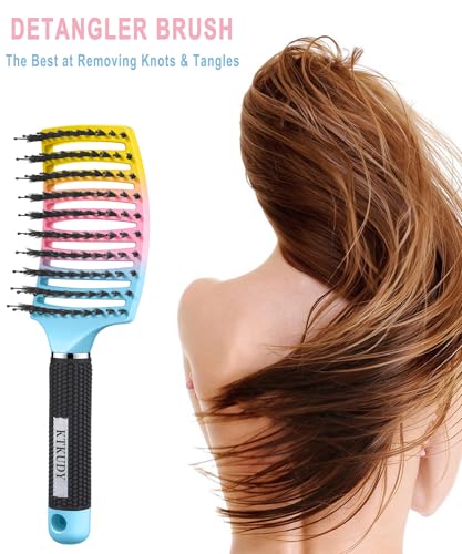 KTKUDY Detangling Brush Boar Bristles Hairbrush Make Hair Shiny & Healthier Curved and Vented Detangler Brush for Women Men Kids Wet & Dry Hair - color: Blue-Pink-Yellow Gradient