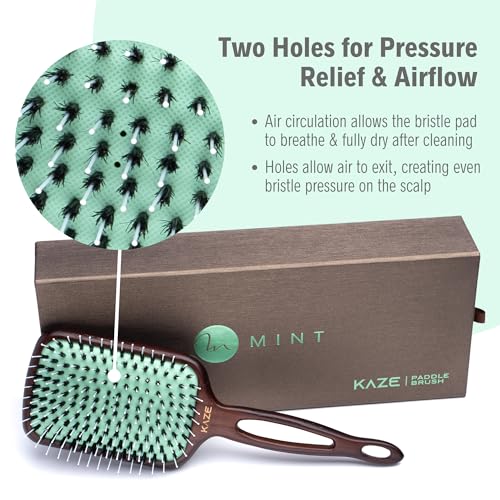 Eco-Friendly Boar Bristle Paddle Hair Brush for Women by MINT | Anti-Breakage Detangling Brush Great for Color-Treated Hair, Extensions and All Hair Types | Hand-Crafted Wooden Handle - size: 133 mm x 83 mm Paddle Brush
