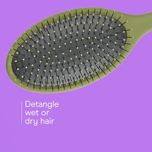 Conair Detangling Hair Brush Set, 3-Pack Detangler Brushes for Wet or Dry Hair, Gentle Detangler for All Hair Types, Bristle Hair Brushes for Women, Evergreen, Blush Pink, Black Assorted - color: Evergreen,Blush Pink,Black, size: 3 Count Full Size