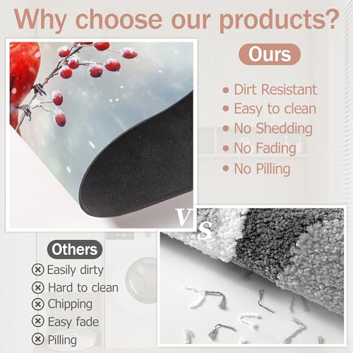 Bath Mat,Red Cardinal Bathroom Rugs,Quick-Drying Non-Slip Rubber Bath Mats Absorbent Diatomaceous Earth Mat for Bathroom Home Decor 17"x29.5" - color: Red Cardinal