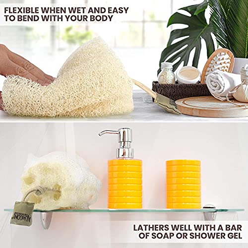 Almooni Natural Loofah Exfoliating Body Scrubber for Men and Women, Real Round Egyptian Loofah Sponge with Consistent Scrub Texture, Large Natural Shower Sponge for Body Exfoliation, 2-Count - size: 2 Count (Pack of 1)
