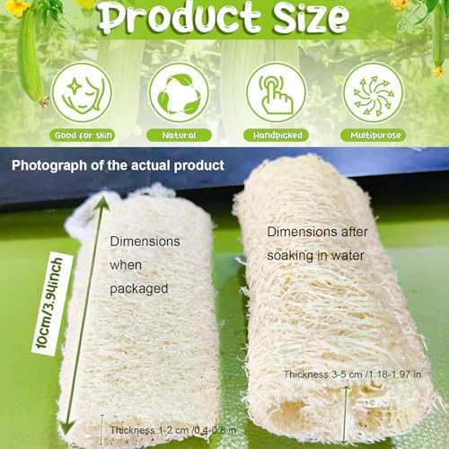 9 Pack 4”Natural Loofah Sponge Small Size Natural Organic Loofah for Kitchen Cleaning Dishes Toddler Exfoliating Skin Care Body Scrubber
