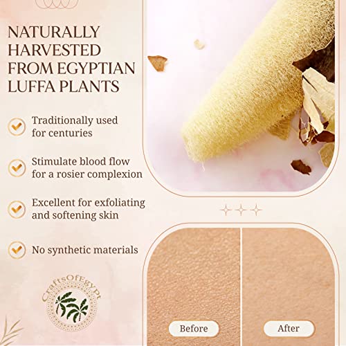 SERRENTO Loofah Body Scrubber, Natural Luffa Shower Sponge, 2 Count - color: Beige